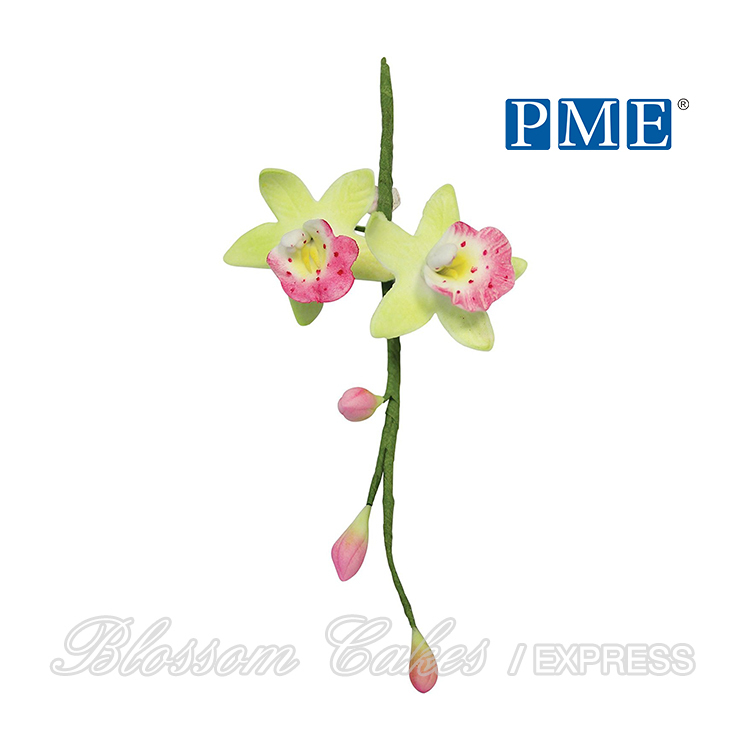 PME Stainless Steel Cymbidium Orchid Petal Cutters, Medium Size, Set of 2