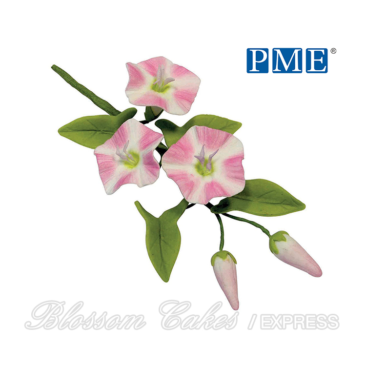 PME Field Bindweed Cutters, Set of 2