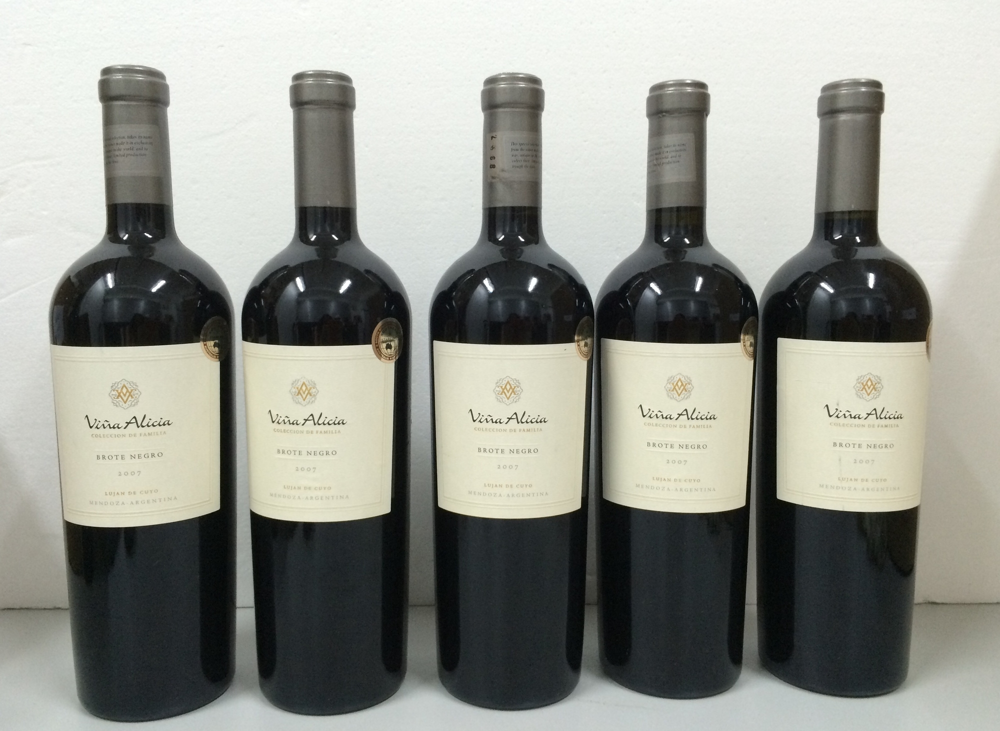 Vina Alicia Brote Negro Malbec 2007