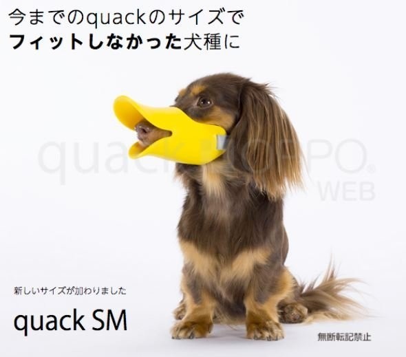 日本oppo Guack 第一代呱呱嘴套 Sm號多種顏色只要 850