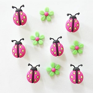 絢麗瓢蟲 (no.9385)