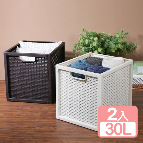 特惠-《真心良品》卡特藤蔓風深型收納置物籃30L(2入)