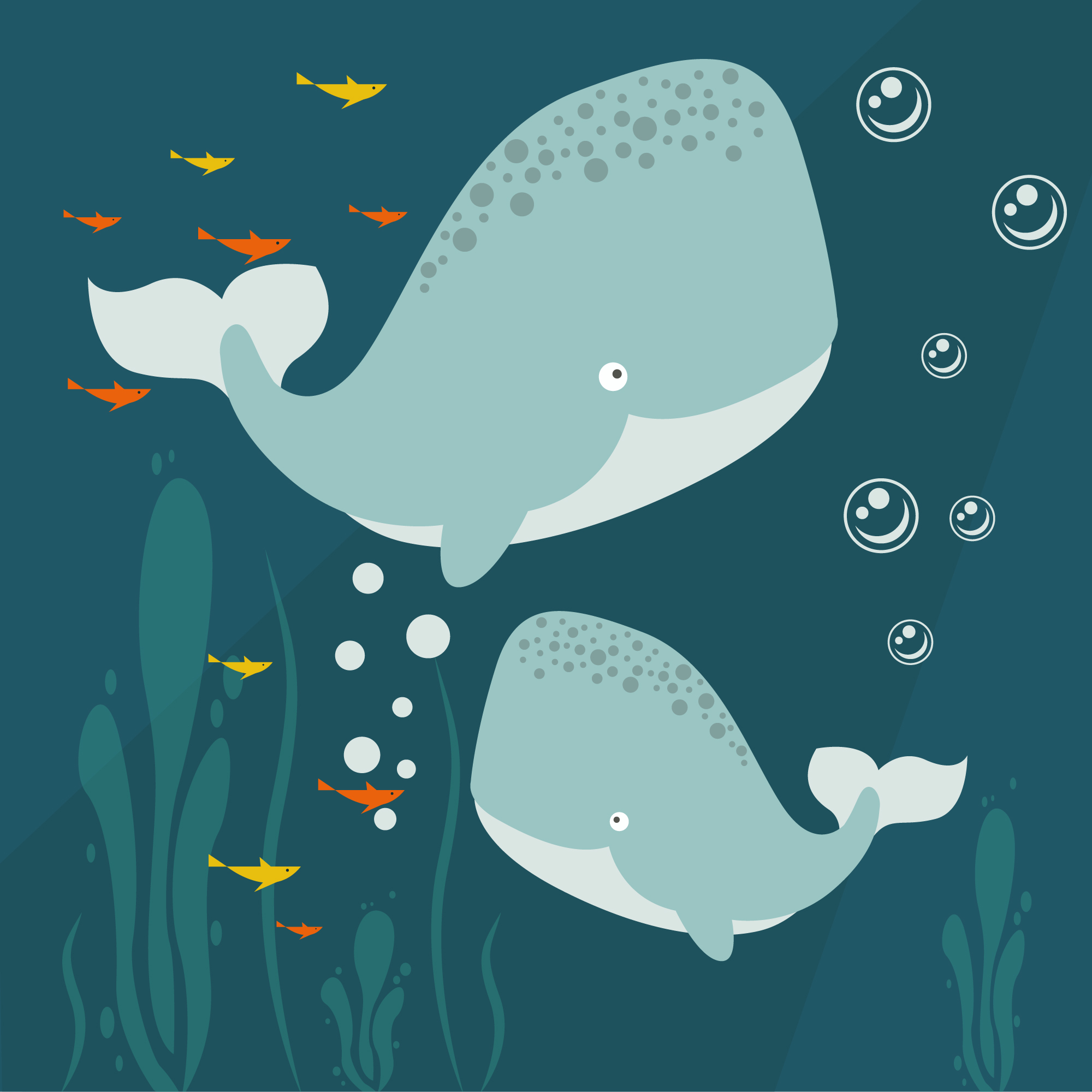 【DR072】鯨豚世界（袋裝）