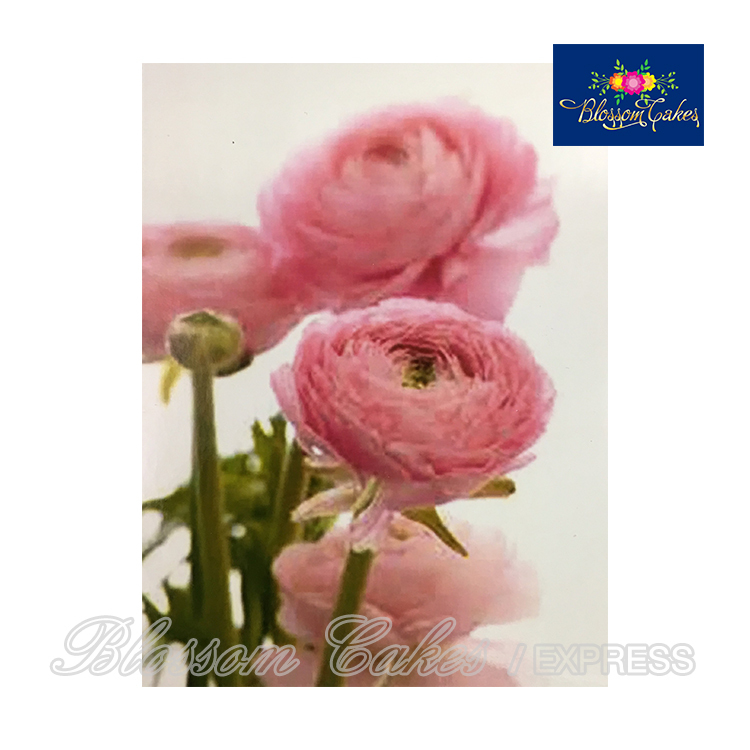 Ranunculus Petal & Leaf Cutters, Set of 7