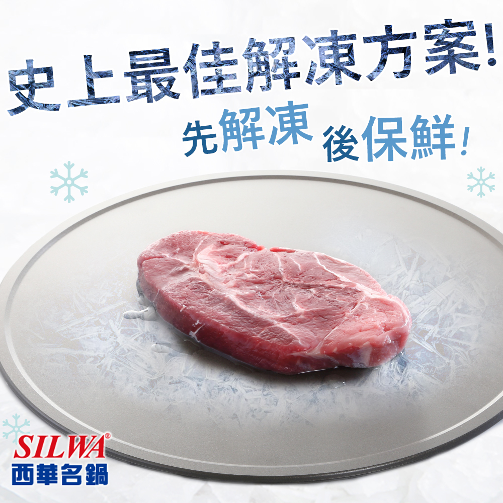 西華SILWA  節能冰霸極速解凍+燒烤兩用盤