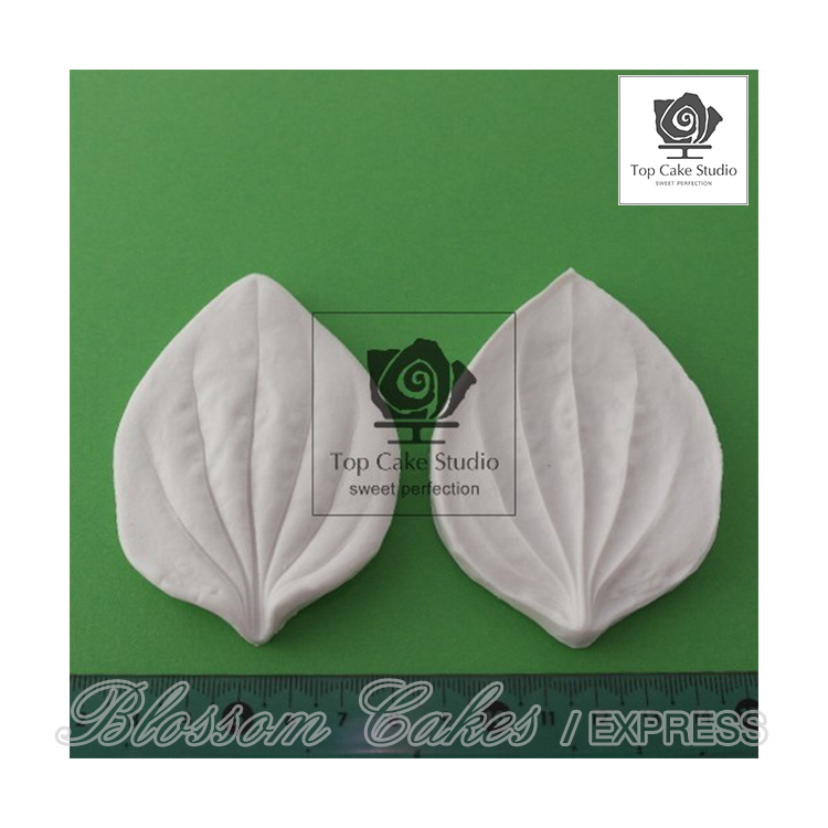 Top Cake "Plantago Leaf" Silicone Veiners