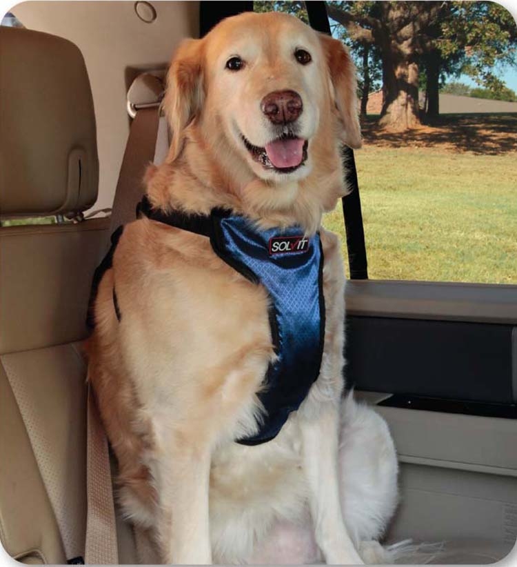 豪華版寵物兩用胸背帶-XL