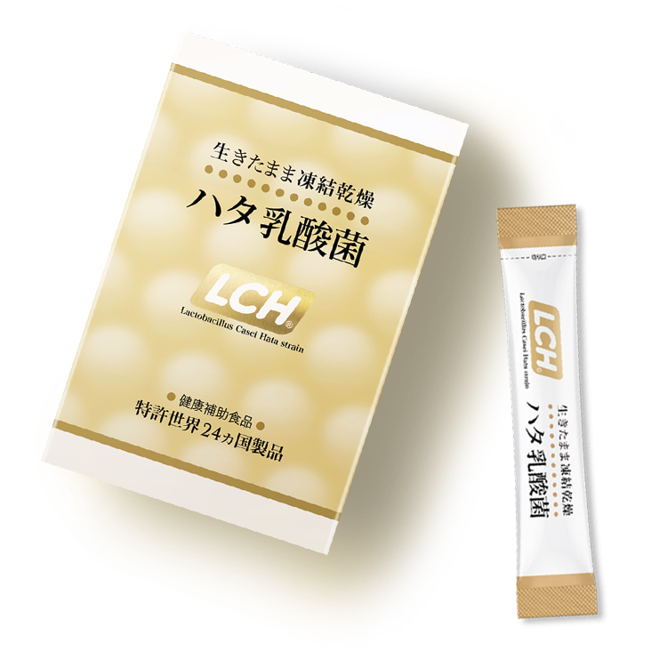 ハタ乳酸菌 6箱セット 1箱あたり60g (2g x 30包) LCH ハタ乳酸菌