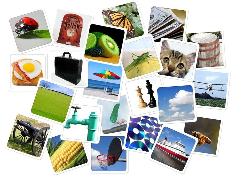 雙胞胎 Twins 繁體中文版