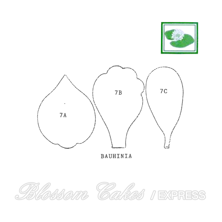 Framar Cutters - 7S Bauhinia Cutter Set