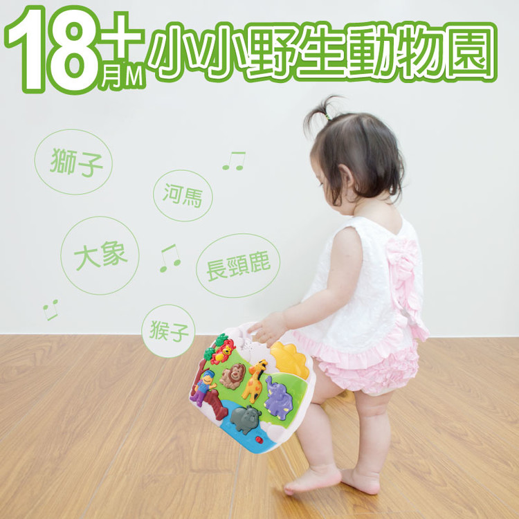 DJ Toys 小小野生動物園