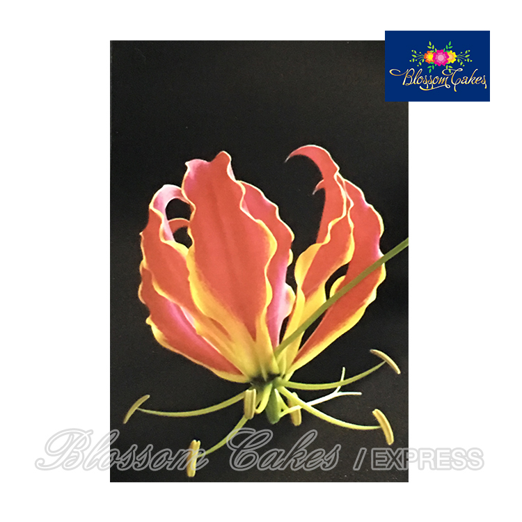 Gloriosa Petal Cutters, Set of 3