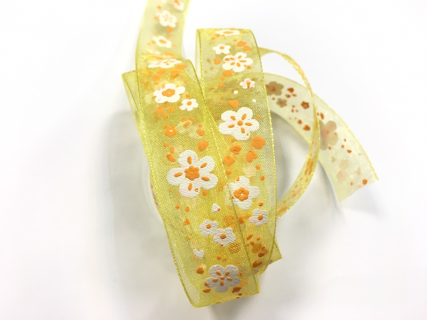 雙色花漾/網紗限量/瑞士設計