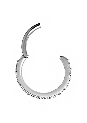 SS316L HINGED SEGMENT RING with CZs