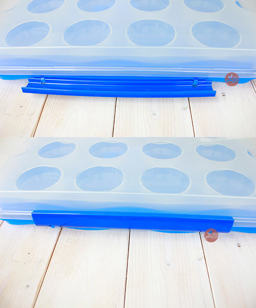 杯子蛋糕保鮮盒