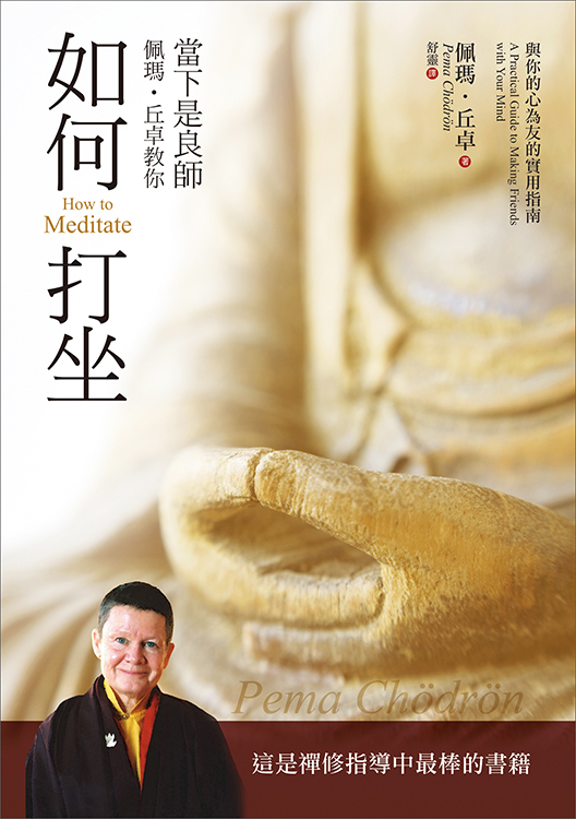 當下是良師，佩瑪．丘卓教你如何打坐－與你的心為友的實用指南（書側有斑點，可接受請再下單）