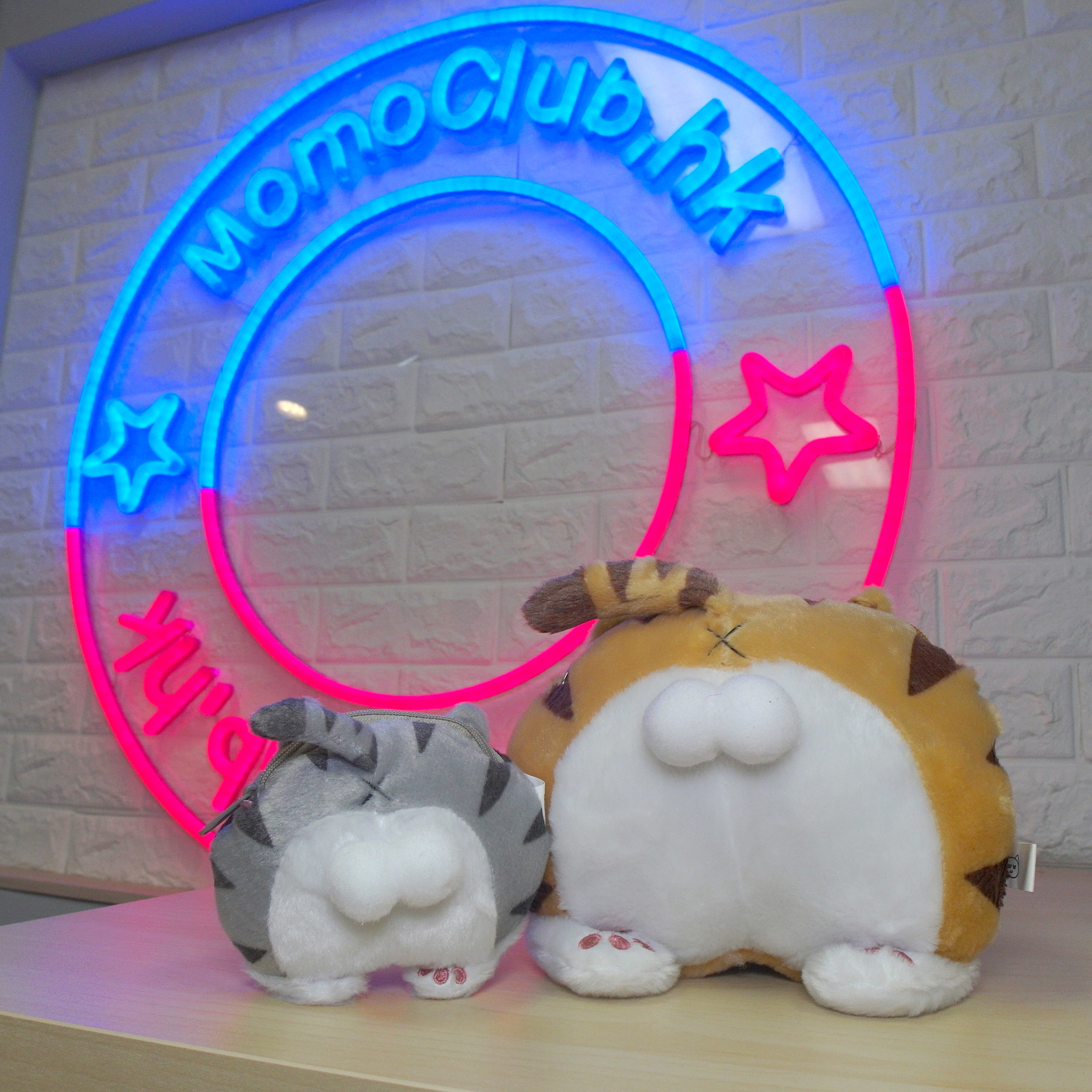 貓咪 Pat Pat – 散紙包/手袋