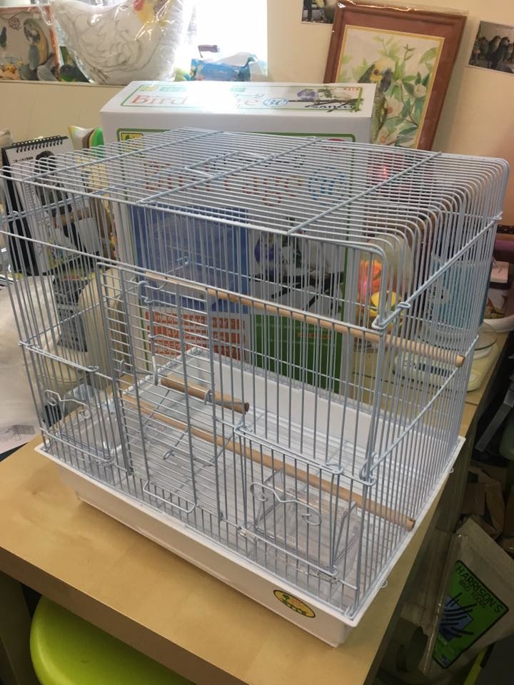 香港鳥籠 Amazon.com: SANKO 30 鳥籠: 寵物用品