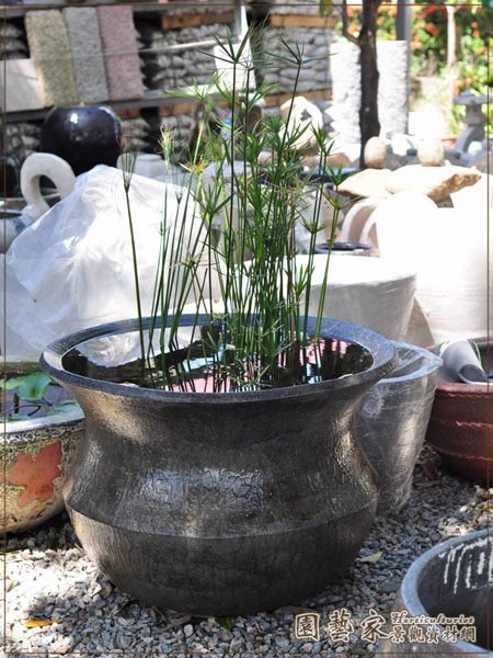 好物良品長形水磨石手作水泥盆栽花盆花器(附十字花架) 客廳陽台