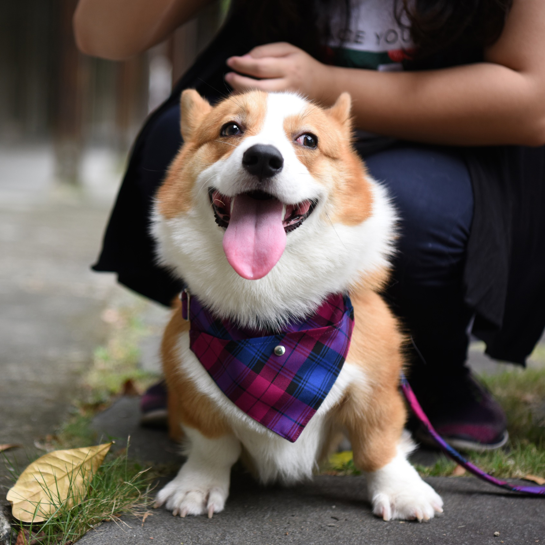 ZAZAZOO - 領巾 (不包括頸帶)