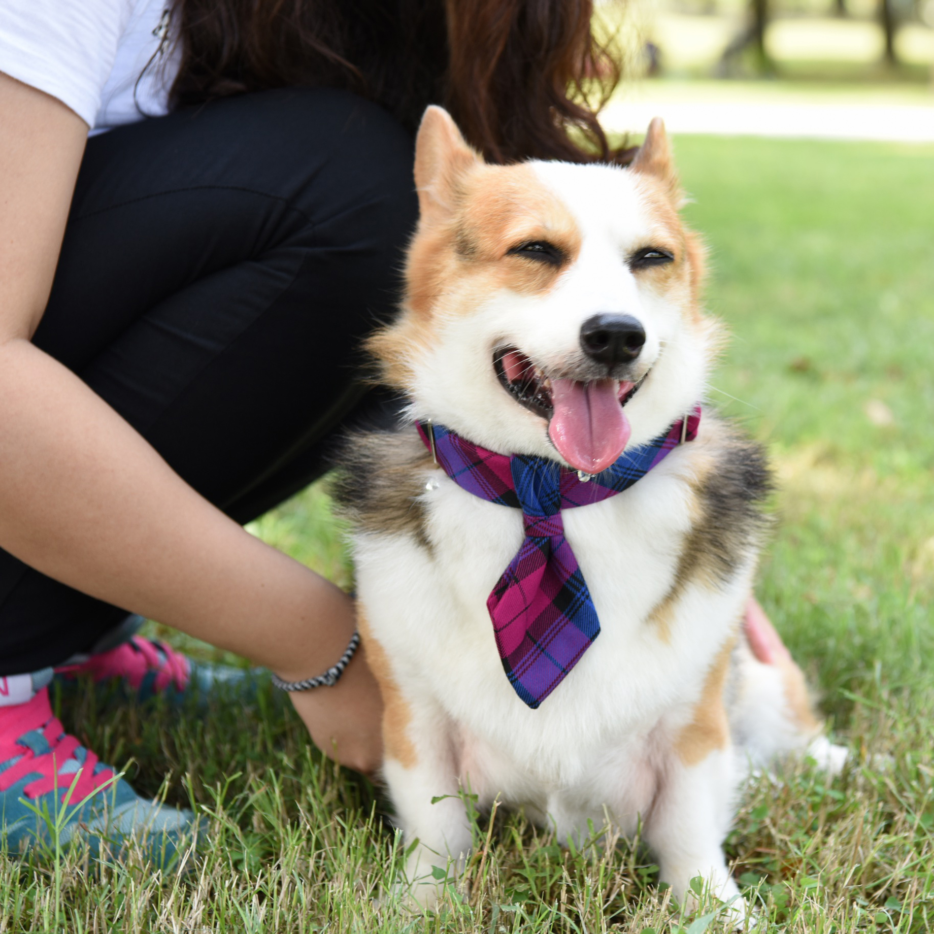 ZAZAZOO - 領帶 (不包括頸帶)