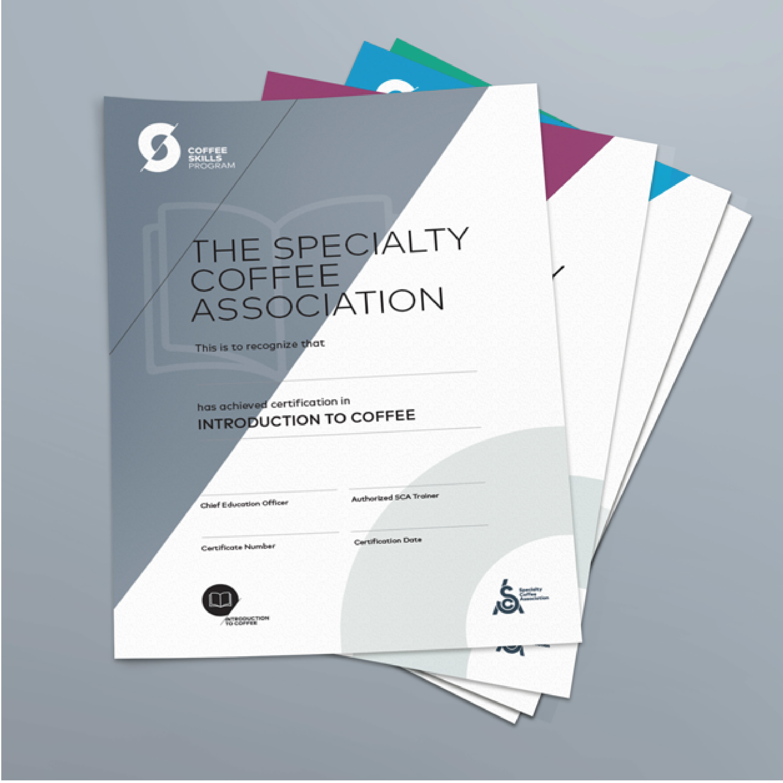 暖窩咖啡 SCA專業咖啡協會國際認證 扎實的理論學習