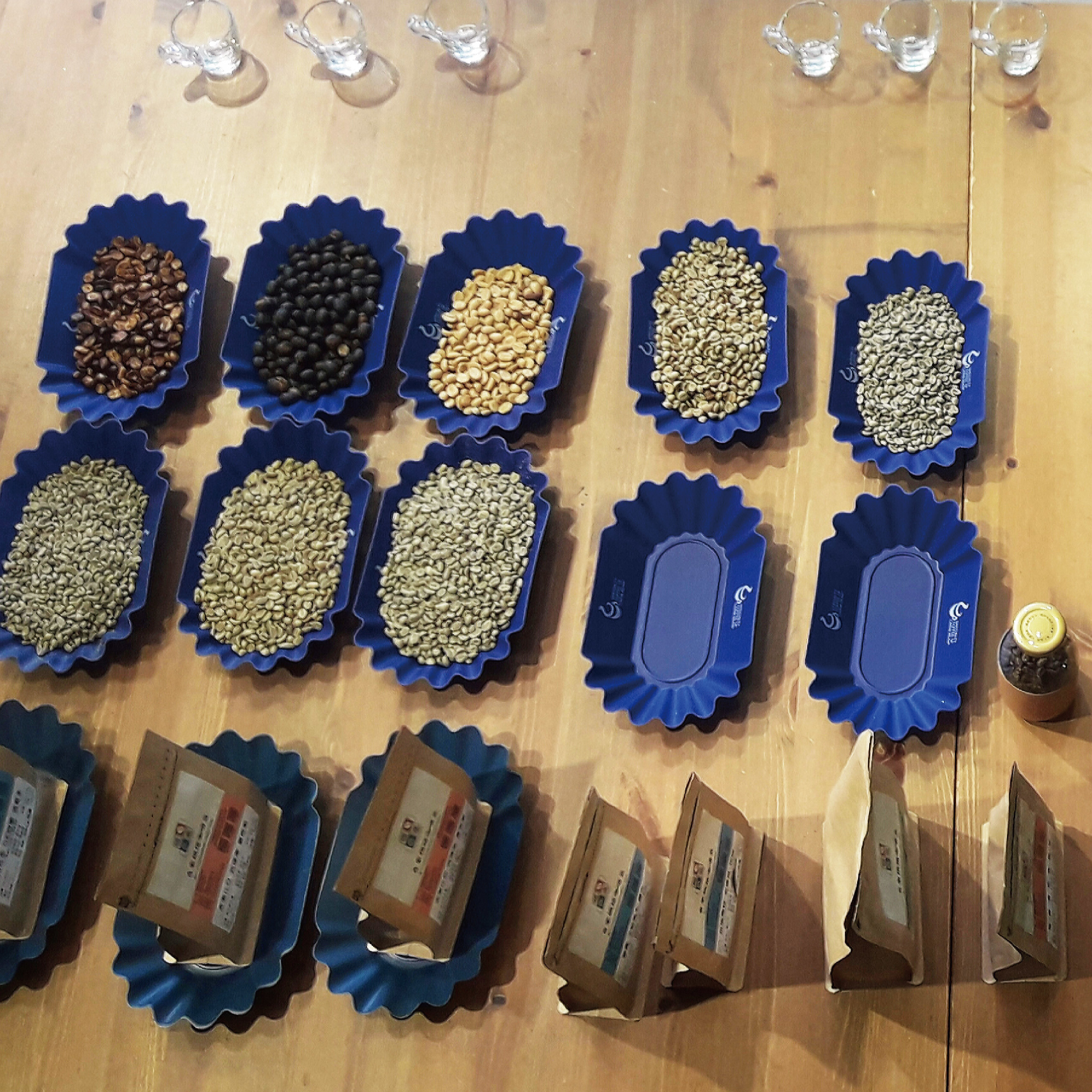 暖窩咖啡 SCA專業咖啡協會國際認證 經驗傳承與討論