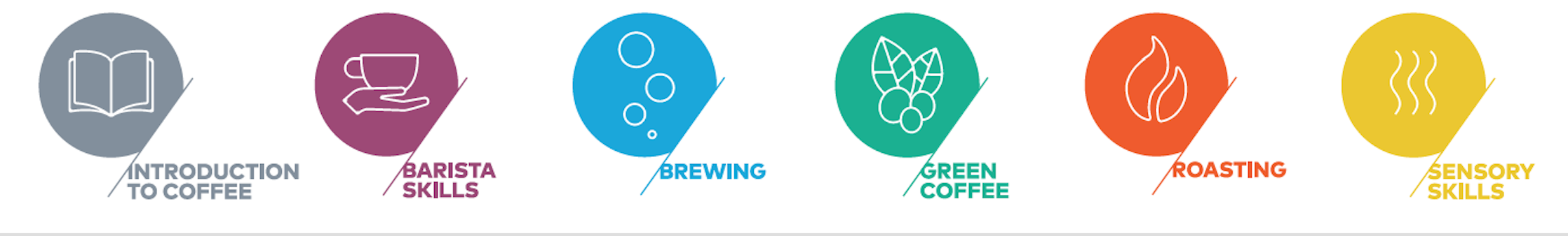暖窩咖啡 SCA CSP咖啡技能學習計畫