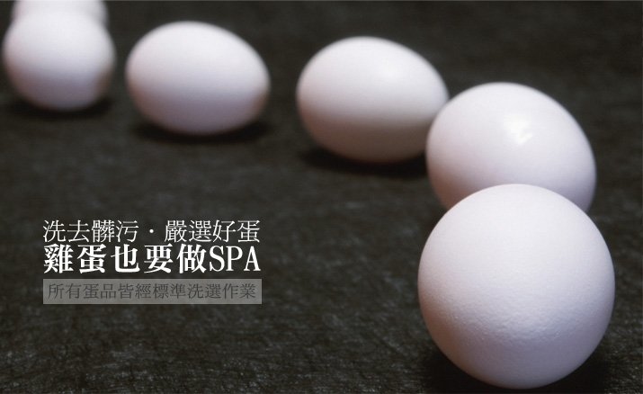 原物料介紹 洗去髒污  人道飼養洗選蛋