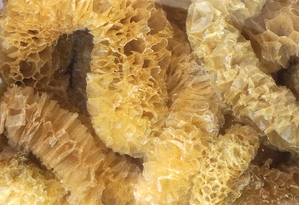 海洋竹笙(海茸芯) 50g (海的野菜食材)