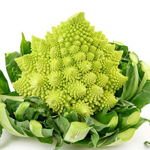 新鮮羅馬花椰菜romanesco 600 800g 適合清炒奶油白醬焗烤