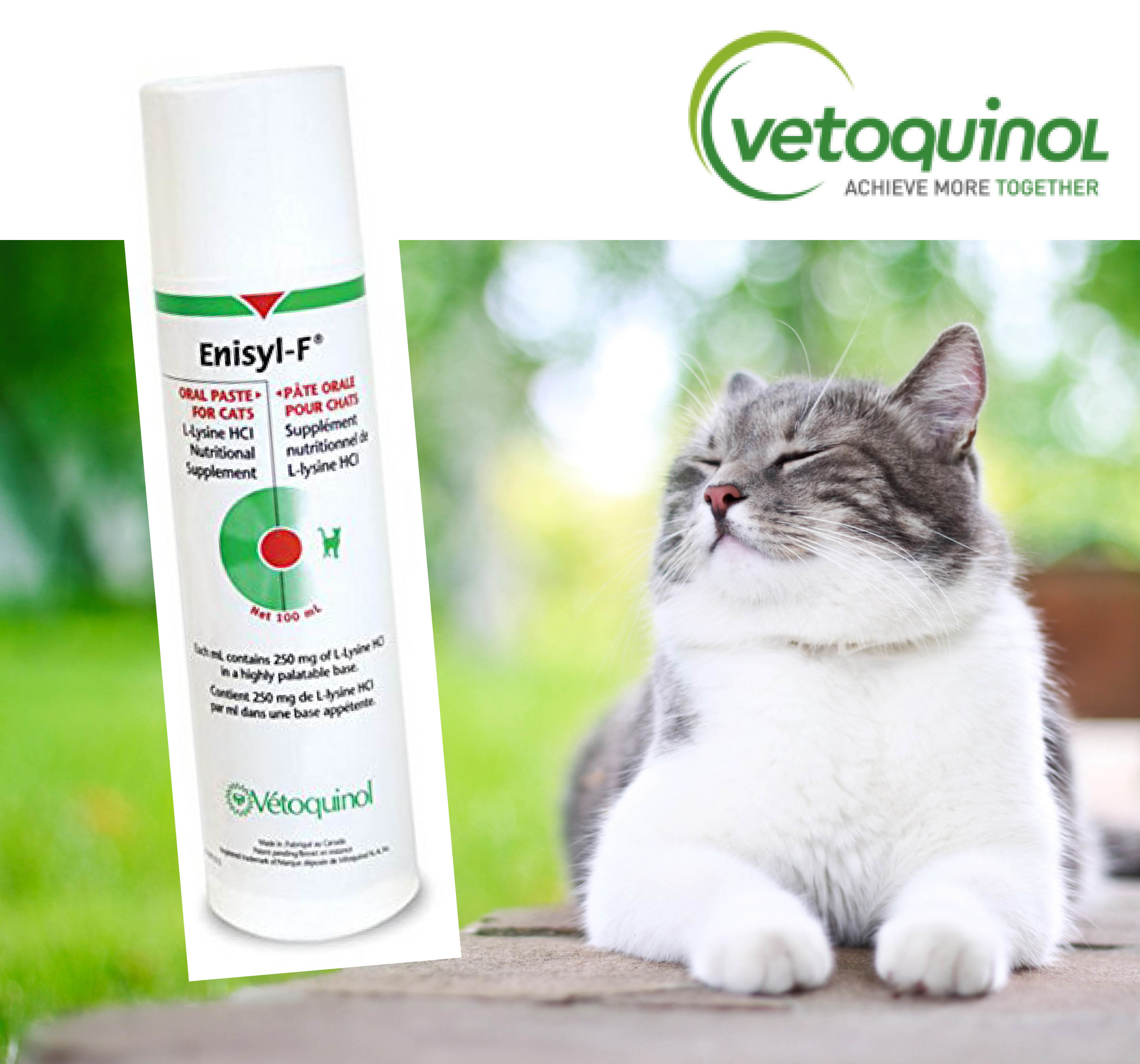 Vetoquinol ENISYL-F | Lysine離胺酸營養補充膏 100ML (原裝代理正貨)