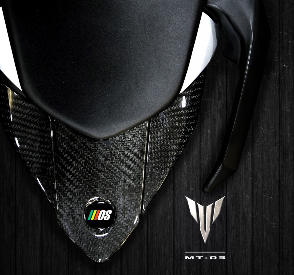 MOS MT03/R3/R25-碳纖維尾燈上蓋