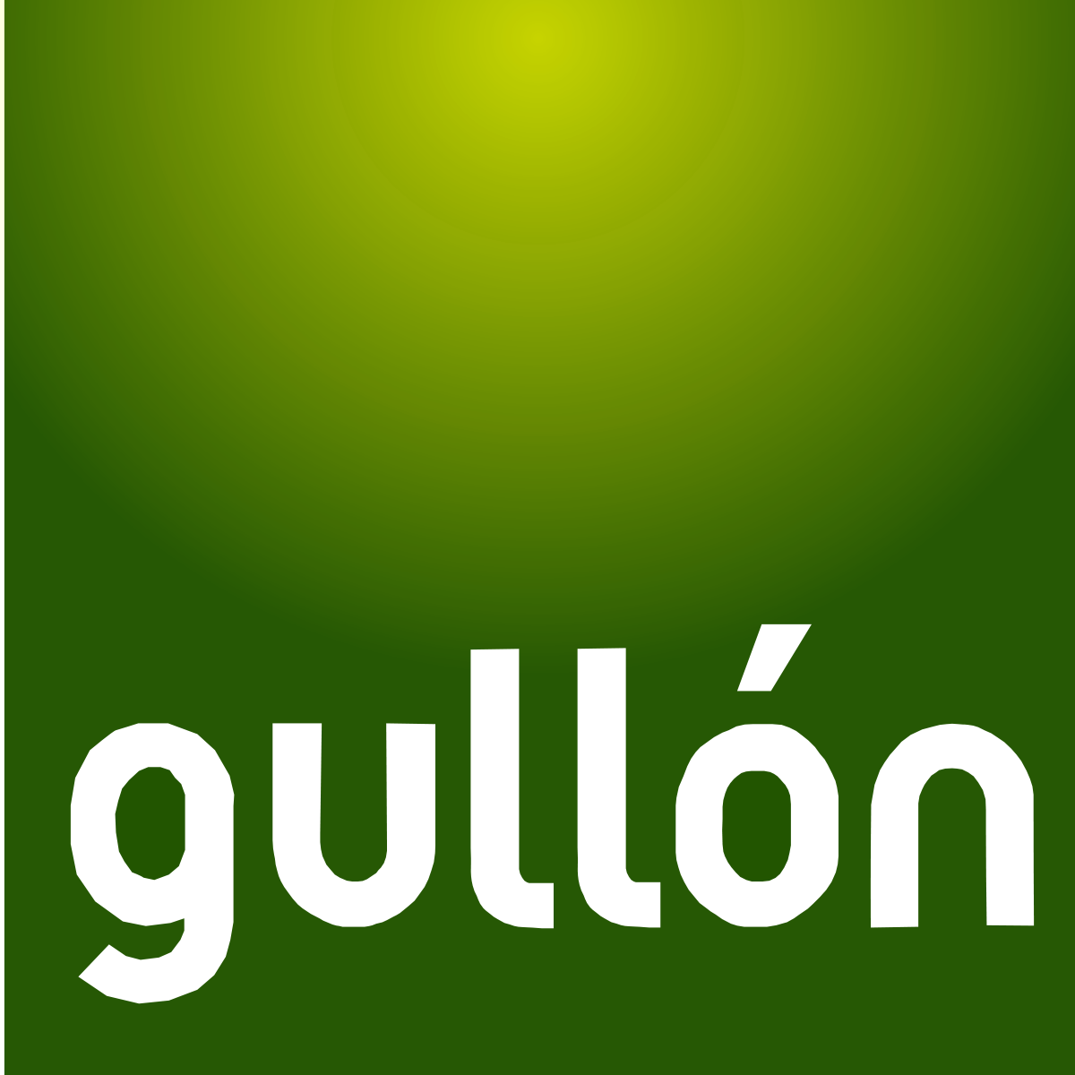 Y3: Gullon 無糖高纖餅 170g