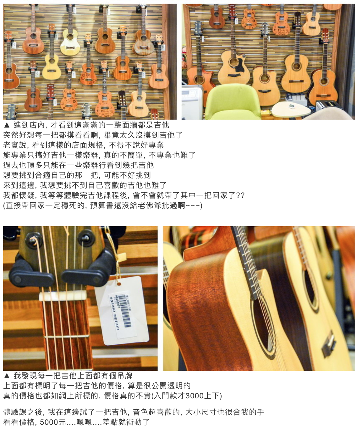 陸比音樂評價及推薦