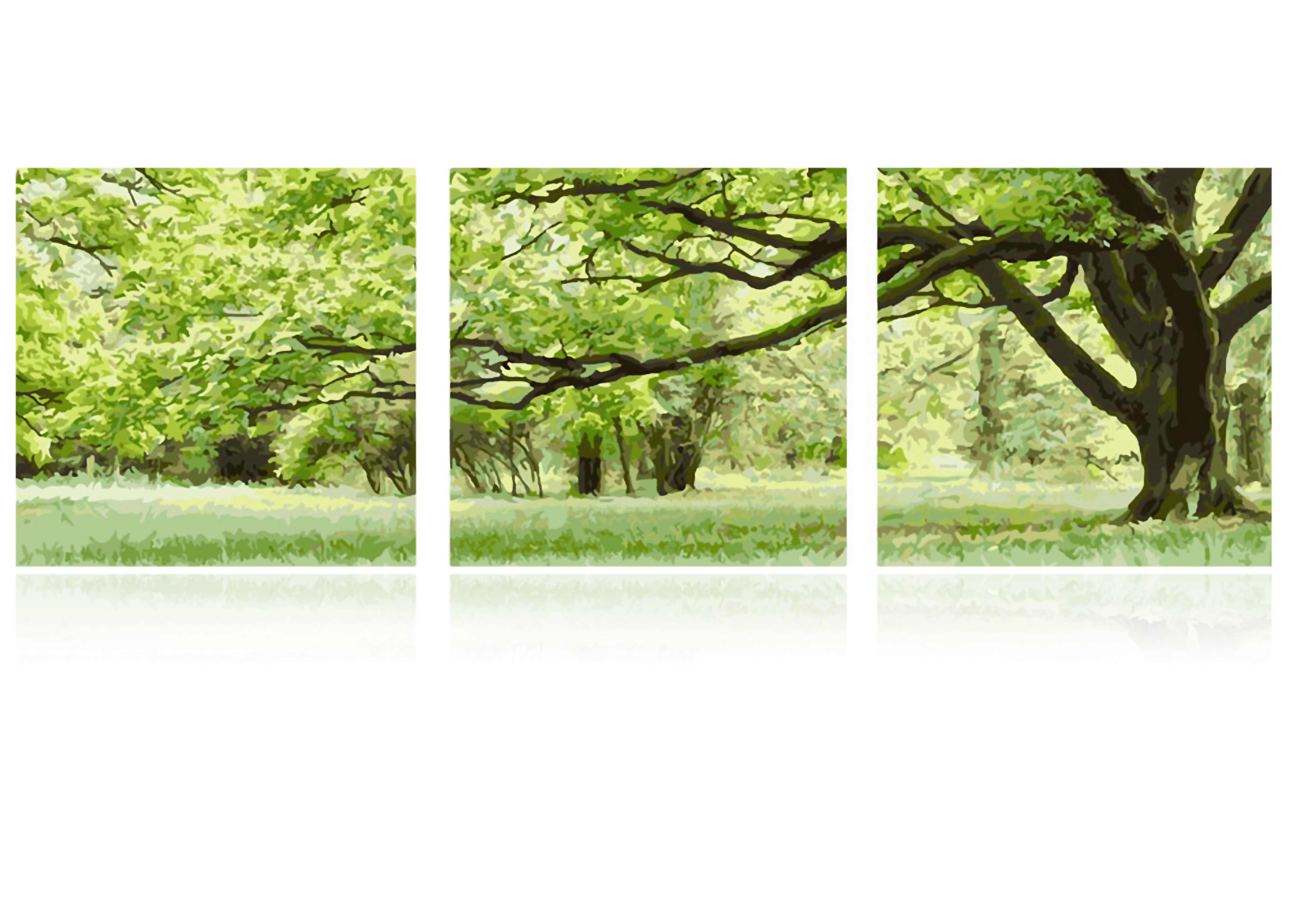 【93063】綠樹成蔭50*50CM*3