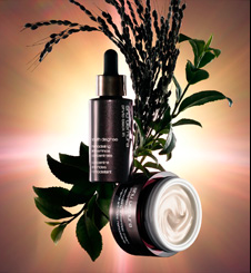 植村秀品牌歷史07