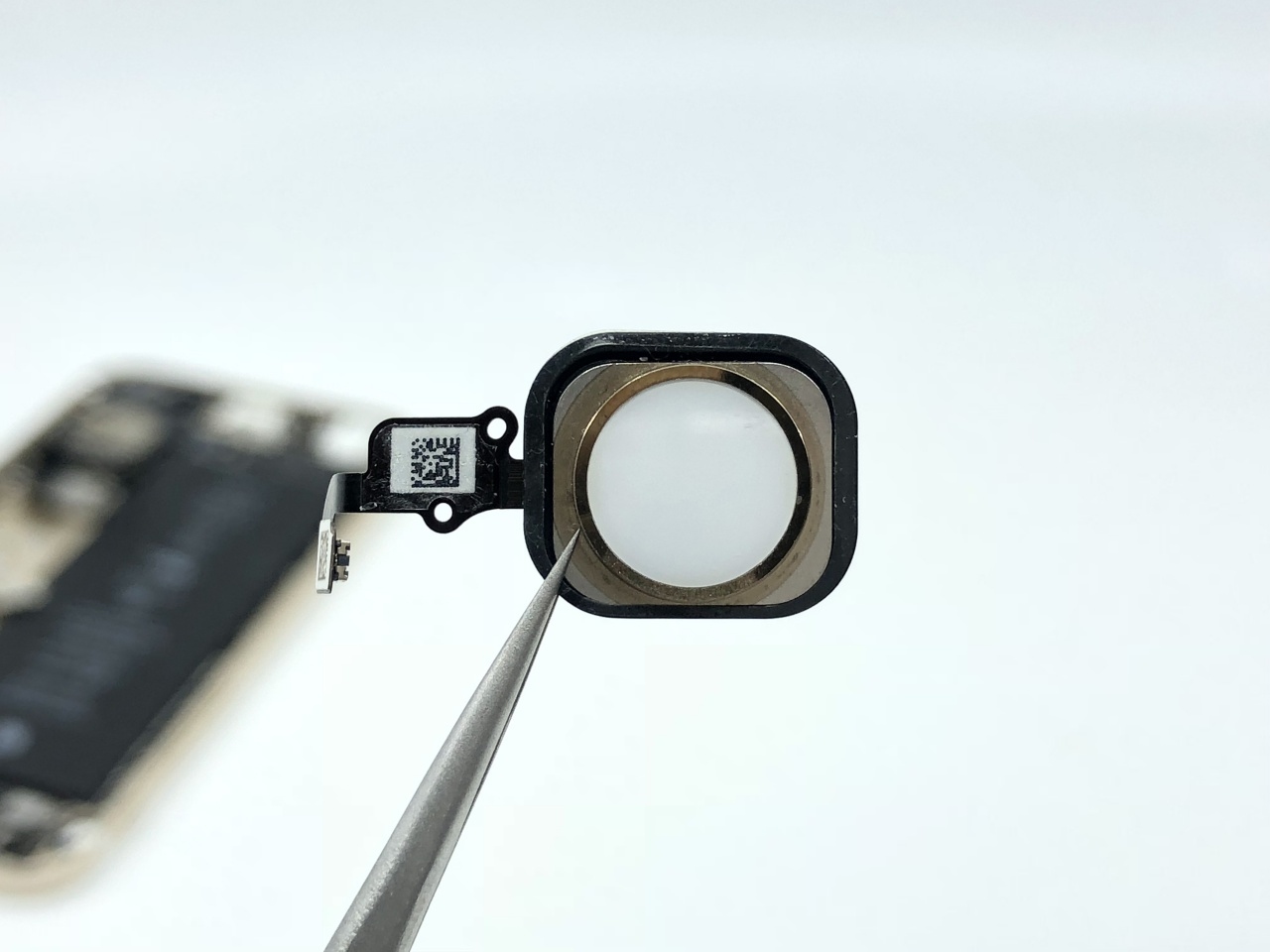 iPhone Home鍵失靈 / 按壓不聽使喚