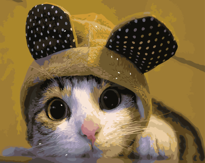 【DT121】純真小貓