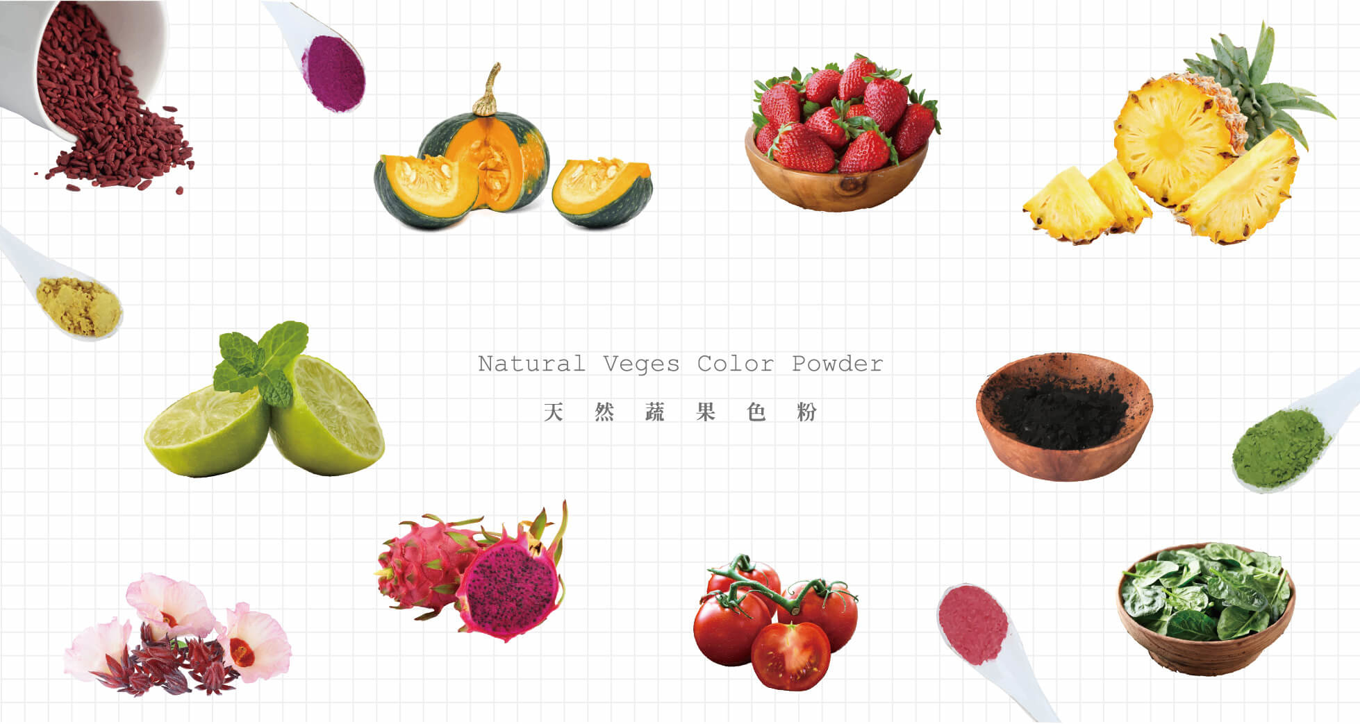 烘焙色粉 - 烘焙材料行 | 烘焙樂工坊