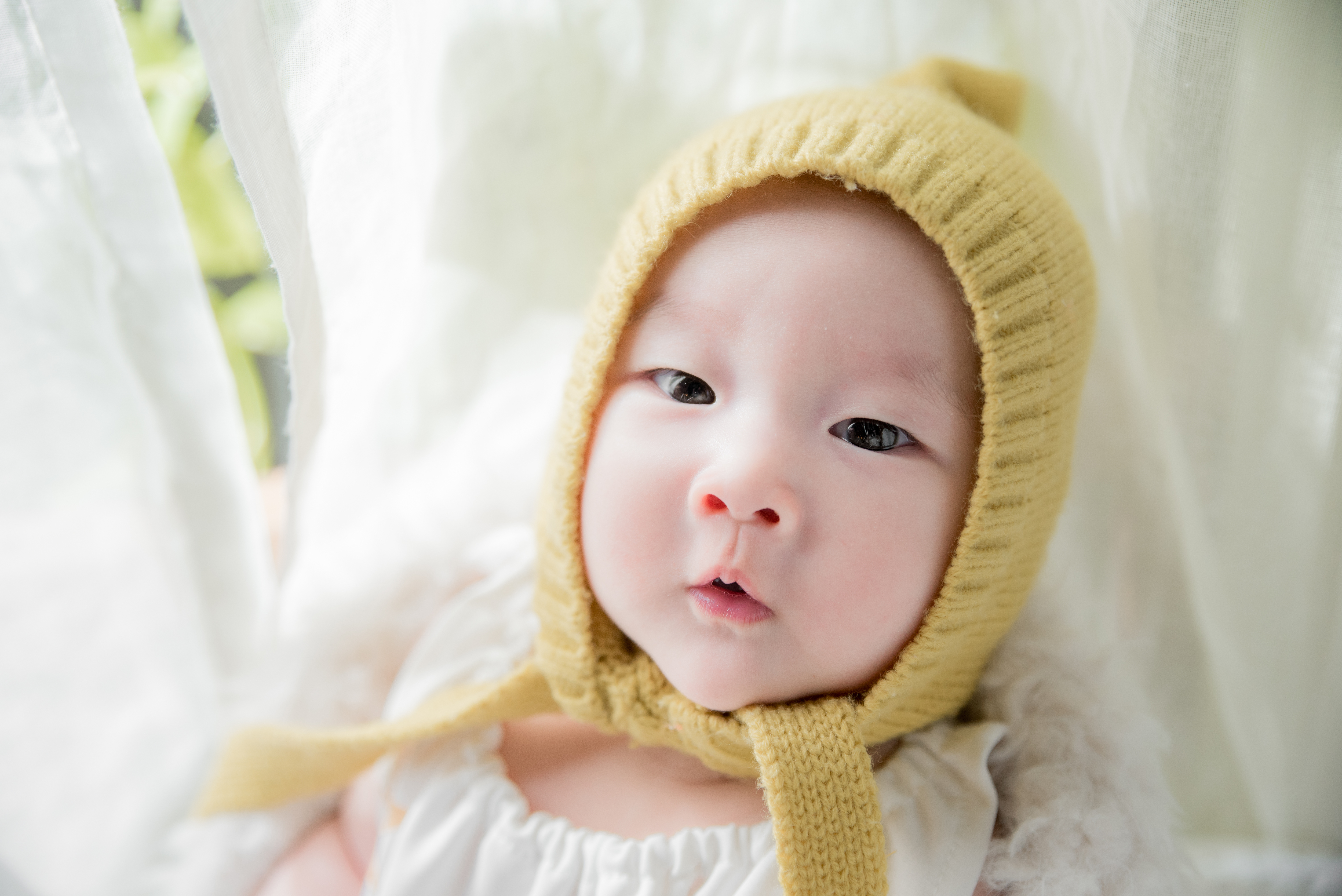 彌月蛋糕推薦 彌月禮盒