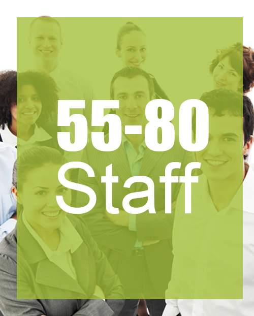 55-80 名員工 (每逢星期一及星期三送貨)