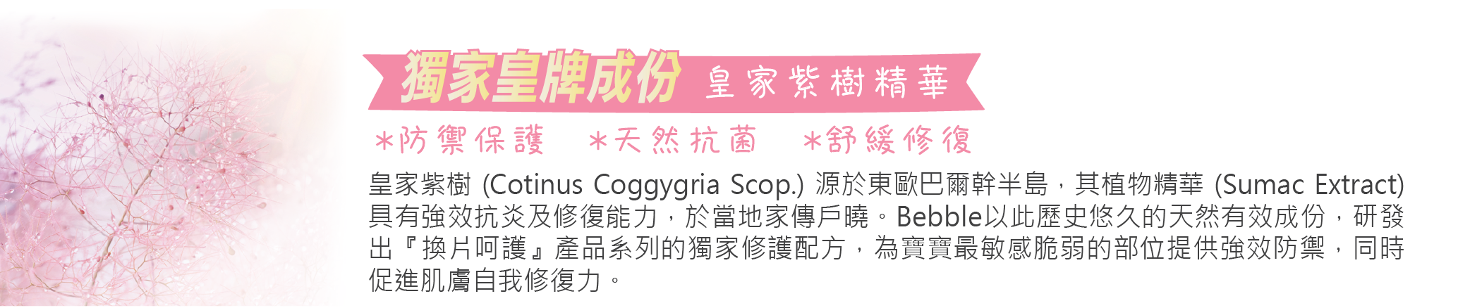 Bebble 皇牌成份 皇家紫樹