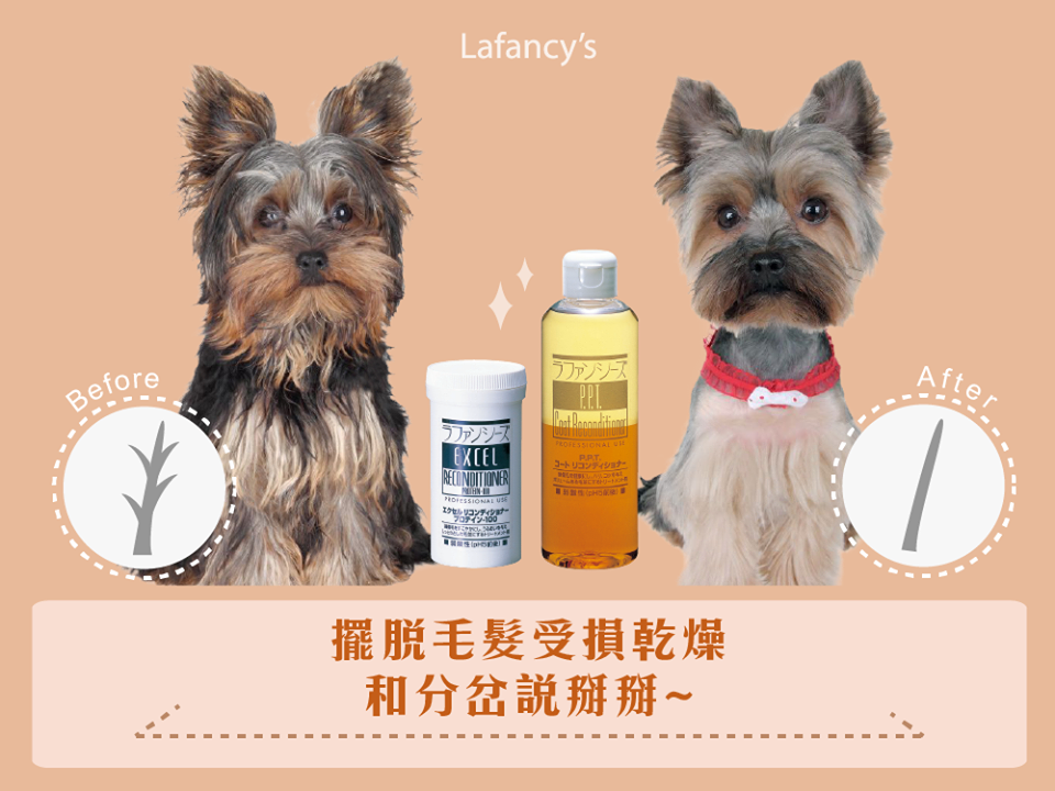 毛髮修復霜｜柔順感專用