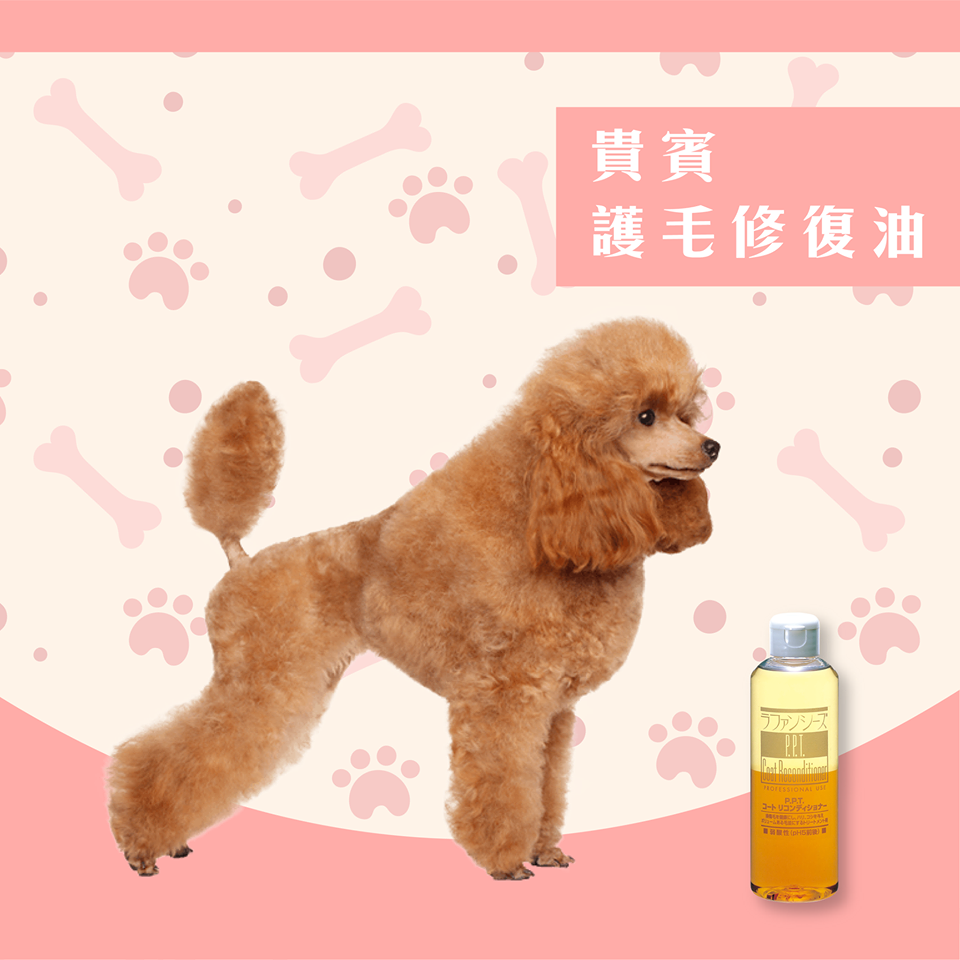 毛髮修復油｜蓬鬆感專用