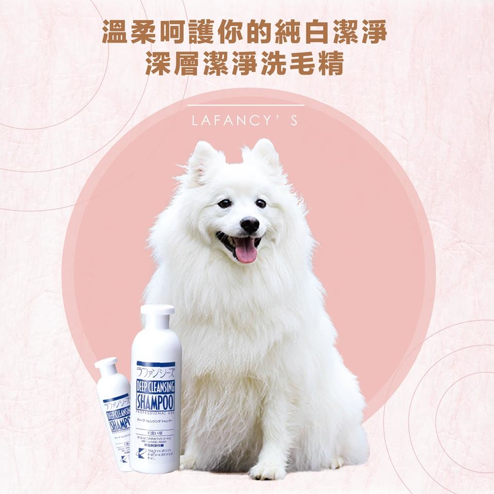 深層潔淨洗毛精