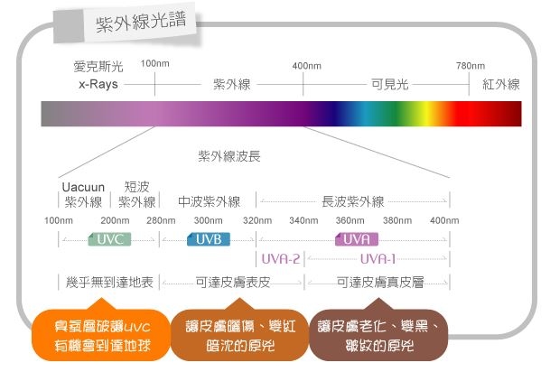 紫外線的解說
