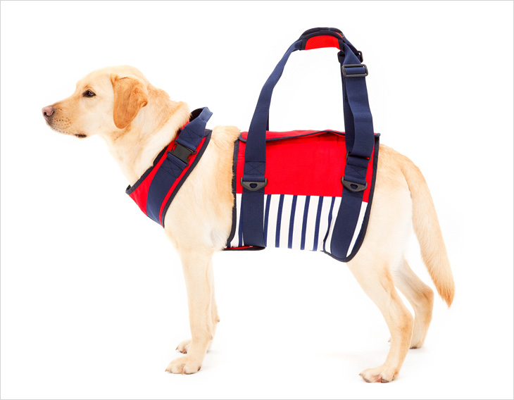 LaLaWalk 大型犬步行輔助帶 (海洋風)