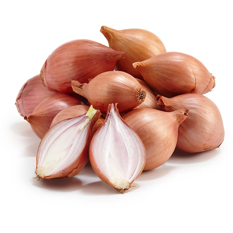 新鮮 甘蔥 西式紅蔥頭 shallot 甜度高於洋蔥 風味溫和雅緻 法式料理必備