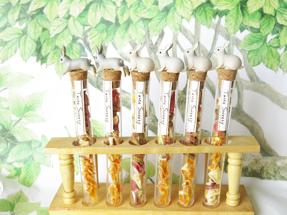 經典兔子造型試管小巧水果乾